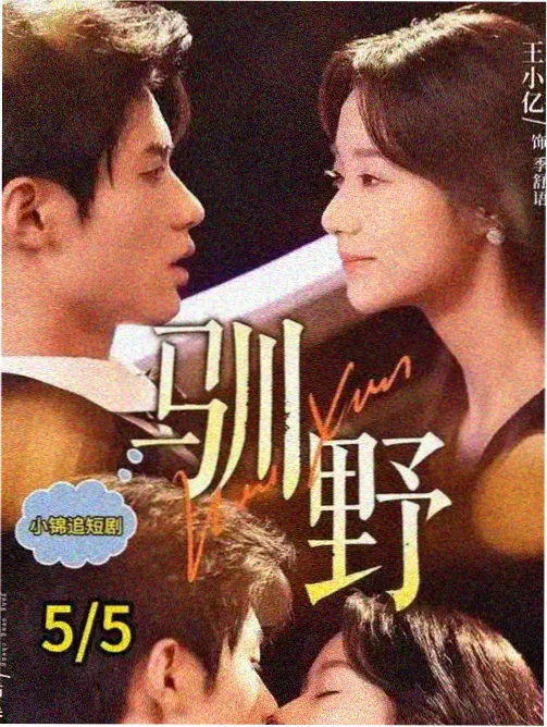 深夜编目室悬疑剧集封面